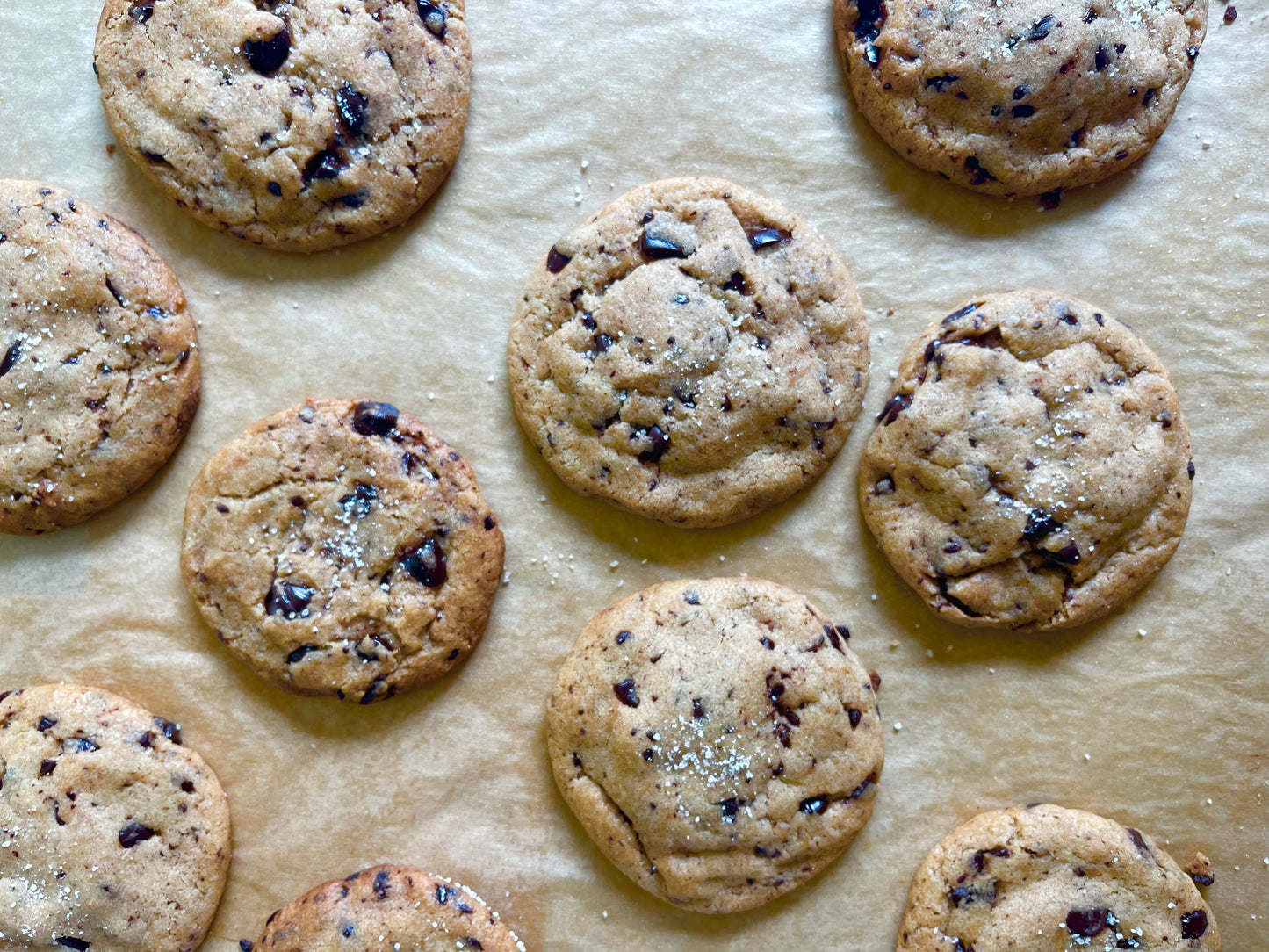 Sourdough Chocolate Chip Cookies